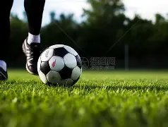 巴西主场观,众举,应援牌支持,开云体育,开云体育,KaiYun,Sports,开云体育官网