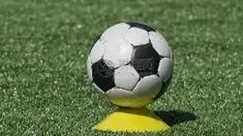 “卡内达下课风波即将上演？浙江队换帅在即，背后隐情令球迷感慨万千！”