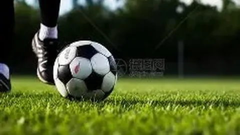巴西主场观众举BLG应援牌支持比赛